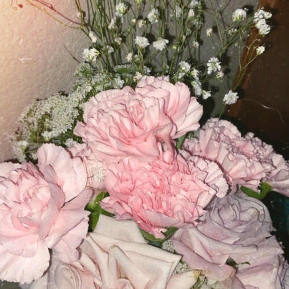 Meet your Posher, Stefani - Picture 1 of 1